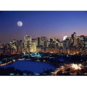 Meet your Posher, Bo